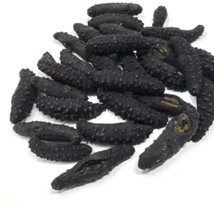 Dried Sea Cucumber