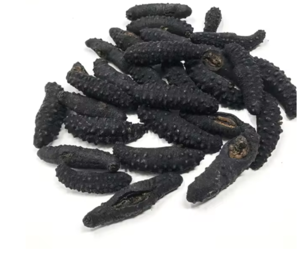 Dried Sea Cucumber