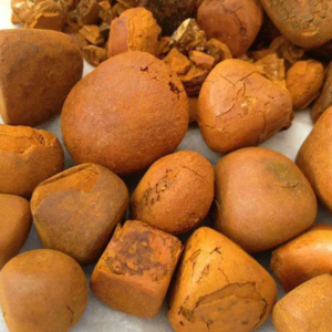 cow gallstones