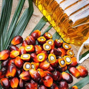 refined palm oil