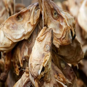 stock fish dried