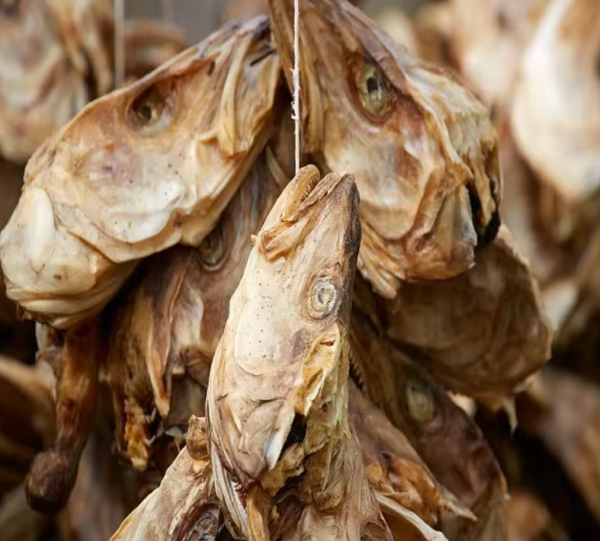 stock fish dried