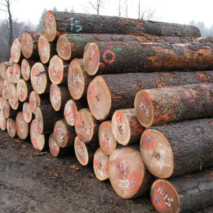 Timber wood logs