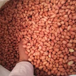 blanched peanuts